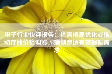 电子行业快评报告：供需格局优化或推动存储价格调涨 AI端侧渗透有望提振需求