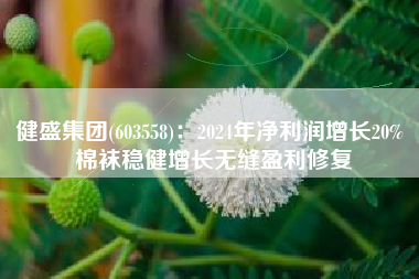 健盛集团(603558)：2024年净利润增长20% 棉袜稳健增长无缝盈利修复