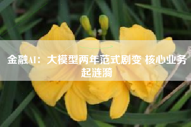 金融AI：大模型两年范式剧变 核心业务起涟漪