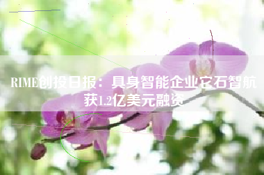 RIME创投日报：具身智能企业它石智航获1.2亿美元融资