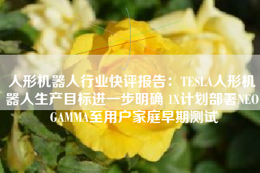 人形机器人行业快评报告：TESLA人形机器人生产目标进一步明确 1X计划部署NEO GAMMA至用户家庭早期测试