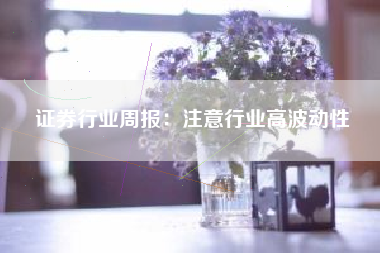 证券行业周报：注意行业高波动性