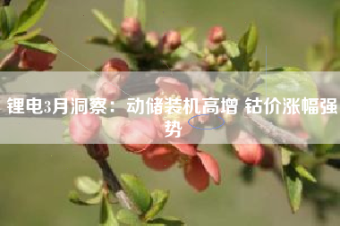 锂电3月洞察：动储装机高增 钴价涨幅强势