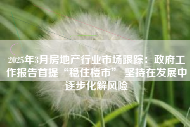2025年3月房地产行业市场跟踪：政府工作报告首提“稳住楼市” 坚持在发展中逐步化解风险