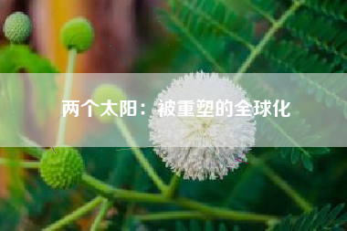 两个太阳：被重塑的全球化