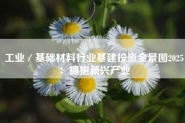 工业／基础材料行业基建投资全景图2025：拥抱新兴产业