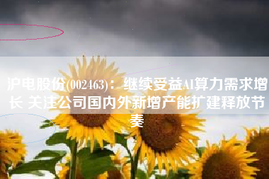 沪电股份(002463)：继续受益AI算力需求增长 关注公司国内外新增产能扩建释放节奏