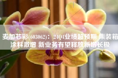 麦加芯彩(603062)：24Q4业绩超预期 集装箱涂料激增 新业务有望释放新增长极