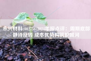 永兴材料(002756)2024年报点评：周期底部静待反转 成本优势构筑护城河