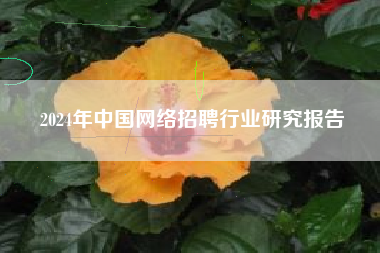 2024年中国网络招聘行业研究报告