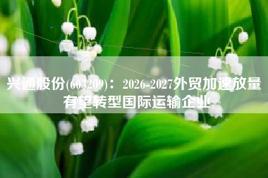 兴通股份(603209)：2026-2027外贸加速放量 有望转型国际运输企业