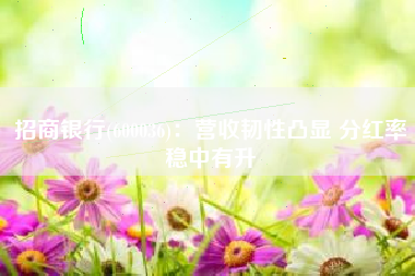 招商银行(600036)：营收韧性凸显 分红率稳中有升