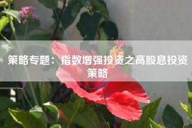 策略专题：指数增强投资之高股息投资策略