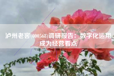 泸州老窖(000568)调研报告：数字化运用成为经营看点