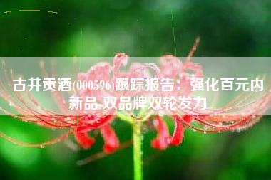 古井贡酒(000596)跟踪报告：强化百元内新品 双品牌双轮发力