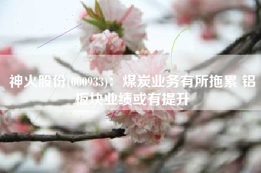 神火股份(000933)：煤炭业务有所拖累 铝板块业绩或有提升