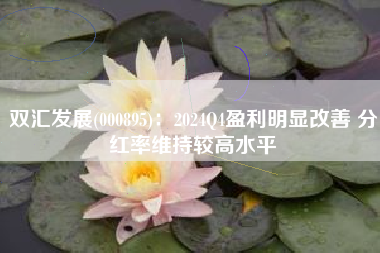 双汇发展(000895)：2024Q4盈利明显改善 分红率维持较高水平