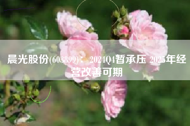 晨光股份(603899)：2024Q4暂承压 2025年经营改善可期
