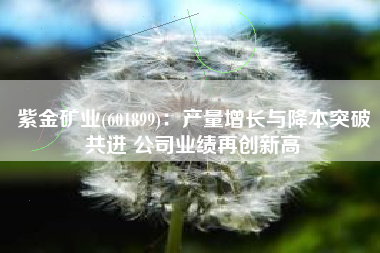 紫金矿业(601899)：产量增长与降本突破共进 公司业绩再创新高