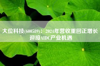 大位科技(600589)：2024年营收重回正增长 迎接AIDC产业机遇