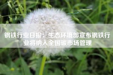 钢铁行业日报：生态环境部宣布钢铁行业将纳入全国碳市场管理