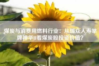 煤炭与消费用燃料行业：从瑞众人寿举牌神华H看煤炭股投资价值？