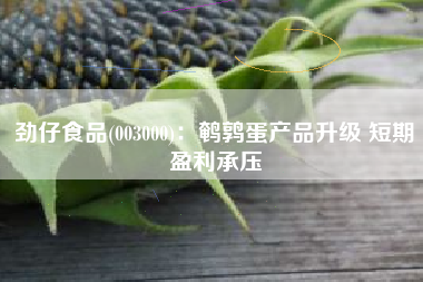 劲仔食品(003000)：鹌鹑蛋产品升级 短期盈利承压