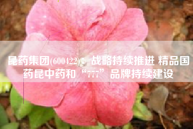 昆药集团(600422)：战略持续推进 精品国药昆中药和“777”品牌持续建设