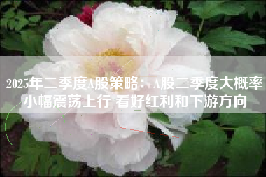 2025年二季度A股策略：A股二季度大概率小幅震荡上行 看好红利和下游方向