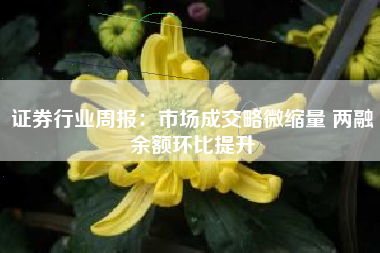 证券行业周报：市场成交略微缩量 两融余额环比提升