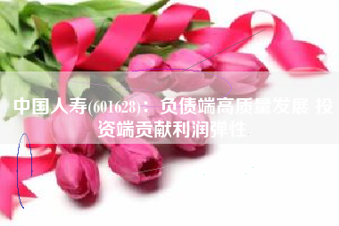 中国人寿(601628)：负债端高质量发展 投资端贡献利润弹性