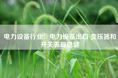 电力设备行业：电力设备出口 变压器和开关表现稳健