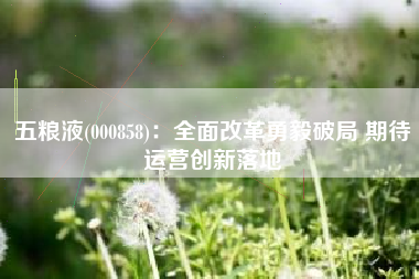 五粮液(000858)：全面改革勇毅破局 期待运营创新落地