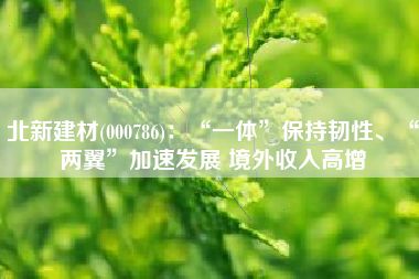 北新建材(000786)：“一体”保持韧性、“两翼”加速发展 境外收入高增