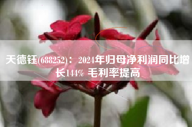 天德钰(688252)：2024年归母净利润同比增长144% 毛利率提高