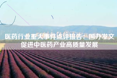 医药行业重大事件点评报告：国办发文促进中医药产业高质量发展