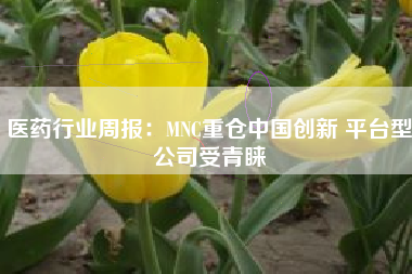 医药行业周报：MNC重仓中国创新 平台型公司受青睐
