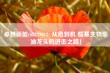 卓越新能(688196)：从危到机 酯基生物柴油龙头的进击之路！