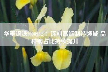 华菱钢铁(000932)：深耕高端制造领域 品种钢占比持续提升