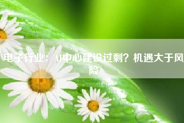 电子行业：AI中心建设过剩？机遇大于风险