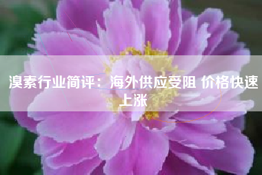 溴素行业简评：海外供应受阻 价格快速上涨