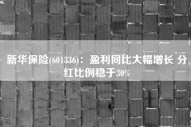 新华保险(601336)：盈利同比大幅增长 分红比例稳于30%