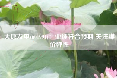 大唐发电(601991)：业绩符合预期 关注煤价弹性