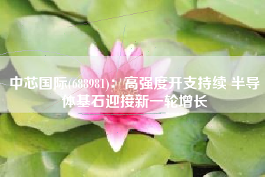 中芯国际(688981)：高强度开支持续 半导体基石迎接新一轮增长