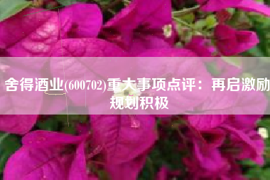 舍得酒业(600702)重大事项点评：再启激励 规划积极