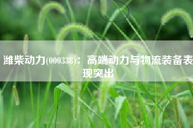 潍柴动力(000338)：高端动力与物流装备表现突出