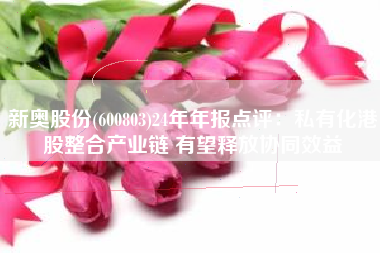 新奥股份(600803)24年年报点评：私有化港股整合产业链 有望释放协同效益