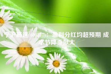 宁沪高速(600377)：盈利分红均超预期 成本节降贡献大