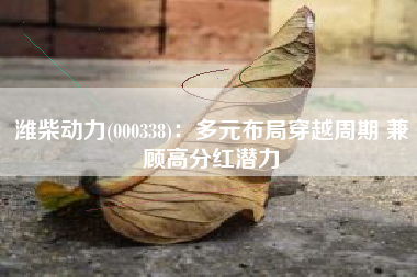 潍柴动力(000338)：多元布局穿越周期 兼顾高分红潜力