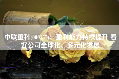 中联重科(000157)：盈利能力持续提升 看好公司全球化、多元化发展